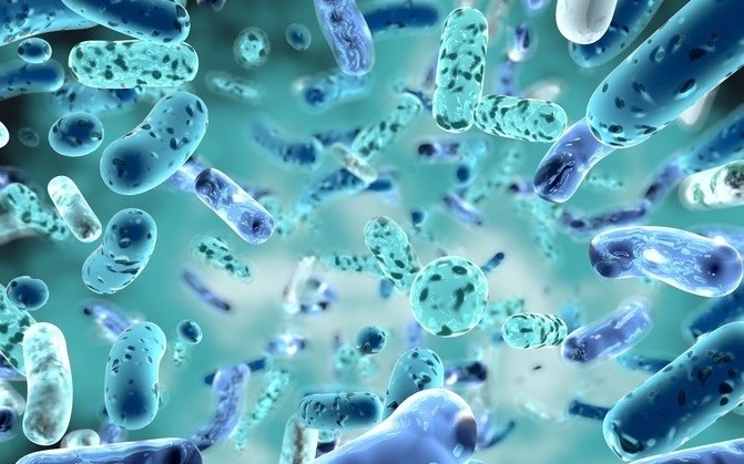 Probiotic Bacillus clausii insignificant in alleviating childhood diarrhoea RCT